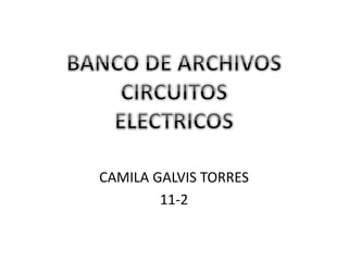 CAMILA GALVIS TORRES 
11-2 
 