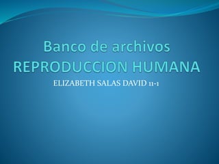 ELIZABETH SALAS DAVID 11-1 
 