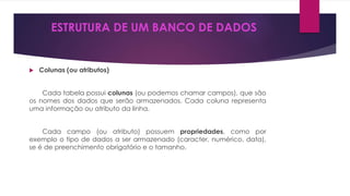 ESTRUTURA DE UM BANCO DE DADOS 
 Colunas (ou atributos) 
Cada tabela possui colunas (ou podemos chamar campos), que são 
os nomes dos dados que serão armazenados. Cada coluna representa 
uma informação ou atributo da linha. 
Cada campo (ou atributo) possuem propriedades, como por 
exemplo o tipo de dados a ser armazenado (caracter, numérico, data), 
se é de preenchimento obrigatório e o tamanho. 
 