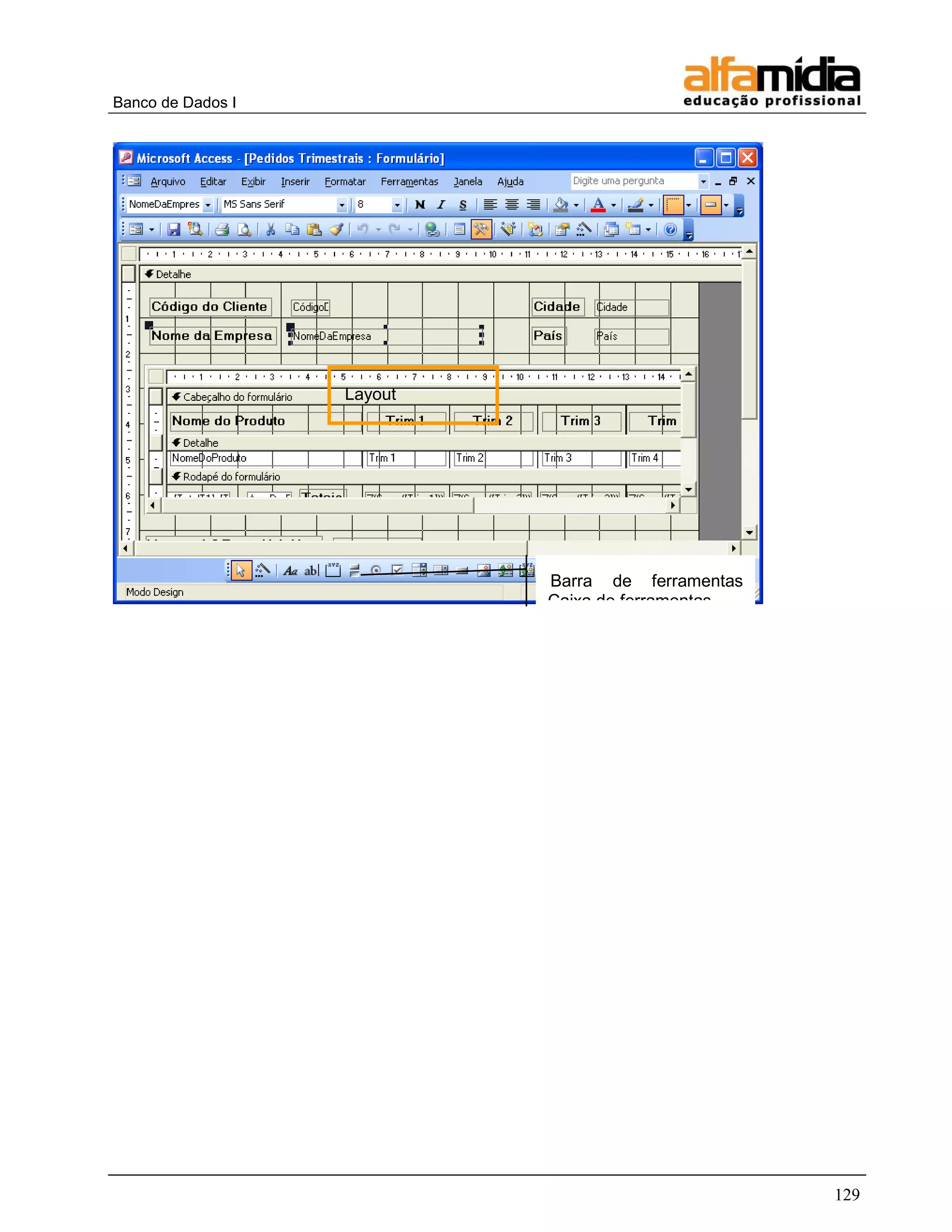 Banco de Dados I 
129 
Layout 
Barra de ferramentas Caixa de ferramentas  
