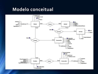 Modelo conceitual
 