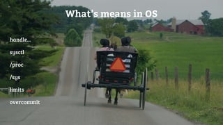 What’s means in OS
handle...
sysctl
/proc
/sys
limits
overcommit
 