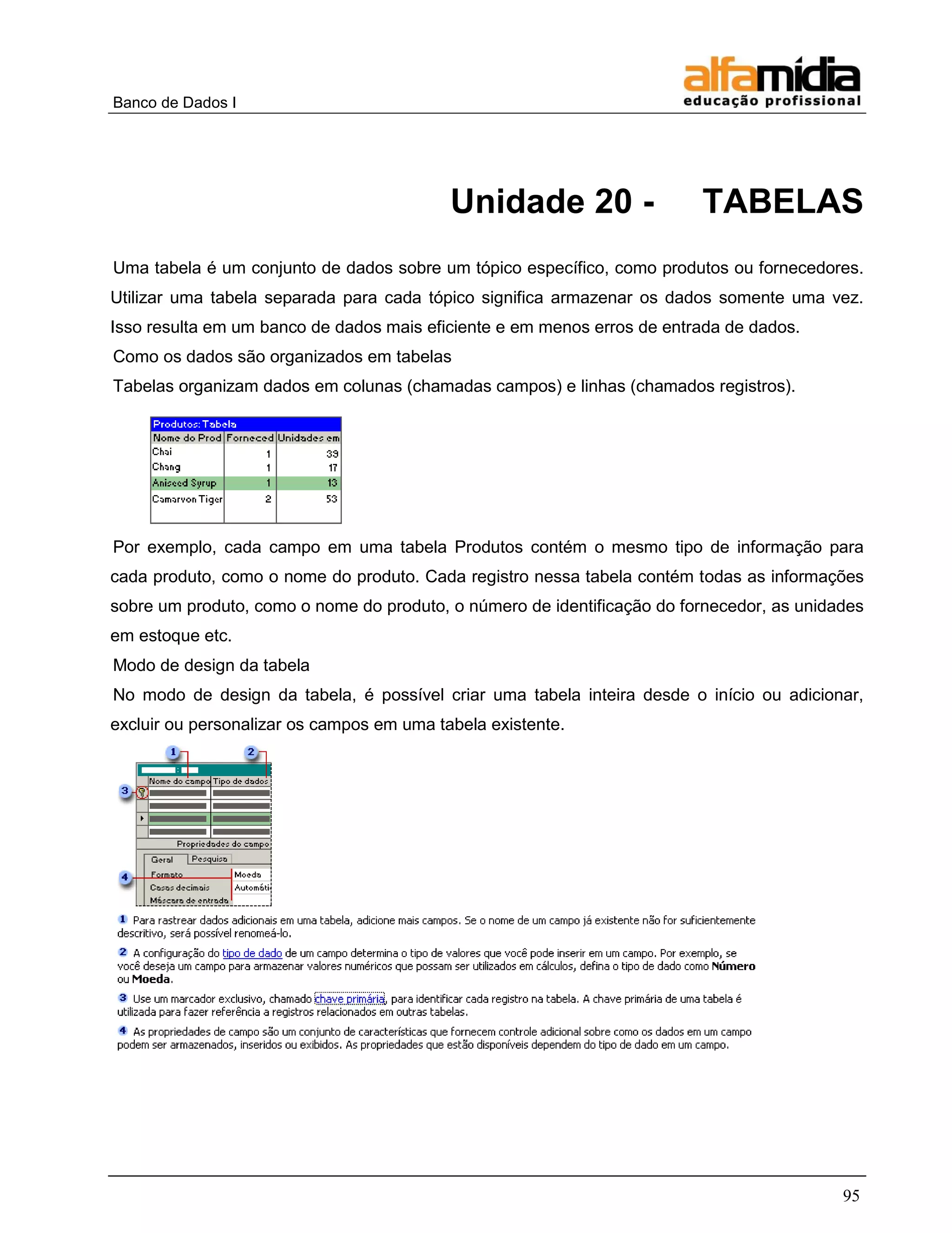 Banco de Dados I




                                           Unidade 20 -                  TABELAS
Uma tabela é um conjunto de dados sobre um tópico específico, como produtos ou fornecedores.
Utilizar uma tabela separada para cada tópico significa armazenar os dados somente uma vez.
Isso resulta em um banco de dados mais eficiente e em menos erros de entrada de dados.
Como os dados são organizados em tabelas
Tabelas organizam dados em colunas (chamadas campos) e linhas (chamados registros).




Por exemplo, cada campo em uma tabela Produtos contém o mesmo tipo de informação para
cada produto, como o nome do produto. Cada registro nessa tabela contém todas as informações
sobre um produto, como o nome do produto, o número de identificação do fornecedor, as unidades
em estoque etc.
Modo de design da tabela
No modo de design da tabela, é possível criar uma tabela inteira desde o início ou adicionar,
excluir ou personalizar os campos em uma tabela existente.




                                                                                           95
 