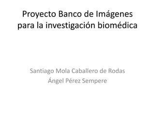 Proyecto Banco de Imágenes para la investigación biomédica Santiago Mola Caballero de Rodas Ángel Pérez Sempere 