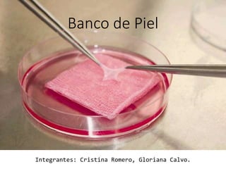 Banco de Piel
Integrantes: Cristina Romero, Gloriana Calvo.
 