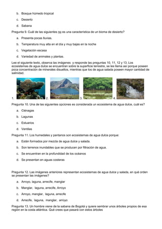 b. Bosque húmedo tropical
c. Desierto
d. Sabana
Pregunta 9. Cuál de las siguientes no es una característica de un bioma de desierto?
a. Presenta pocas lluvias.
b. Temperatura muy alta en el día y muy bajas en la noche
c. Vegetación escasa
d. Variedad de animales y plantas.
Lee el siguiente texto, observa las imágenes y responde las preguntas 10, 11, 12 y 13. Los
ecosistemas de agua dulce se encuentran sobre la superficie terrestre, se les llama así porque poseen
poca concentración de minerales disueltos, mientras que los de agua salada poseen mayor cantidad de
salinidad.
1. 2. 3. 4.
Pregunta 10. Una de las siguientes opciones es considerada un ecosistema de agua dulce, cuál es?
a. Ciénagas
b. Lagunas
c. Estuarios
d. Ventilas
Pregunta 11. Los humedales y pantanos son ecosistemas de agua dulce porque:
a. Están formados por mezcla de agua dulce y salada.
b. Son terrenos inundables que se producen por filtración de agua.
c. Se encuentran en la profundidad de los océanos
d. Se presentan en aguas costeras
Pregunta 12. Las imágenes anteriores representan ecosistemas de agua dulce y salada, en qué orden
se presentan las imágenes?
a. Arroyo, laguna, arrecife, manglar
b. Manglar, laguna, arrecife, Arroyo
c. Arroyo, manglar, laguna, arrecife
d. Arrecife, laguna, manglar, arroyo
Pregunta 13. Un hombre viene de la sabana de Bogotá y quiere sembrar unos árboles propios de esa
región en la costa atlántica. Qué crees que pasará con estos árboles
 