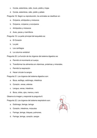c. Corola, estambres, cáliz, óvulo, pistilo y hojas
d. Corola, estambres, cáliz, pistilo y pétalo
Pregunta 18. Según su reproducción, los animales se clasifican en:
a. Ovíparos, artrópodos y moluscos
b. Ovíparos, vivíparos y ovovíparos
c. Artrópodos y moluscos
d. Aves, peces y mamíferos
Pregunta 19. La parte principal del esqueleto es:
a. El Corazón
b. La piel.
c. Los cartílagos
d. La columna vertebral
Pregunta 20. La función de los órganos del sistema digestivo es:
a. Permitir el movimiento al cuerpo.
b. Transformar los alimentos en vitaminas, proteínas y minerales.
c. Permitir la respiración
d. Hacer circular la sangre.
Pregunta 21. Los órganos del sistema digestivo son:
a. Boca, esófago, estómago, intestinos
b. Corazón, venas, arterias
c. Lengua, venas, intestinos.
d. Boca, oídos, ojos, manos y nariz
Observa la imagen y responde la pregunta 8.
Pregunta 22. Los órganos del sistema respiratorio son:
a. Estómago, faringe, laringe
b. Corazón, intestinos, músculos
c. Faringe, laringe, tráquea, pulmones.
d. Faringe, laringe, corazón, sangre
 