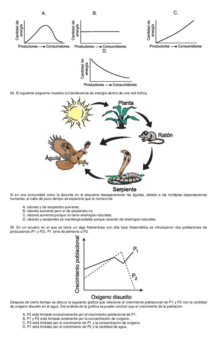 imagen del ciclo de vida del aguila banco de preguntas de