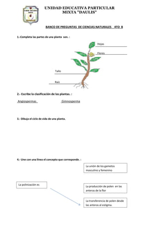 UNIDAD EDUCATIVA PARTICULAR
MIXTA "DAULIS"
BANCO DE PREGUNTAS DE CIENCIAS NATURALES 4TO B
1.-Completa las partes de una planta son. :
2.- Escribe la clasificación de las plantas. :
Angiospermas Gimnosperma
3.- Dibuja el ciclo de vida de una planta.
4.- Une con una línea el concepto que corresponde. :
La polinización es
La unión de los gametos
masculino y femenino
La producción de polen en las
anteras de la flor
La transferencia de polen desde
las anteras al estigma.
Hojas
Flores
Raíz
Tallo
 