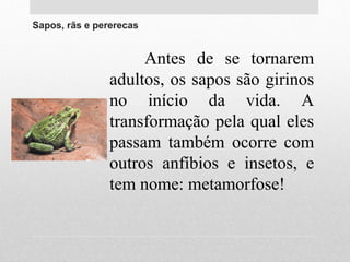 Sapos, rãs e pererecas
Antes de se tornarem
adultos, os sapos são girinos
no início da vida. A
transformação pela qual eles
passam também ocorre com
outros anfíbios e insetos, e
tem nome: metamorfose!
 