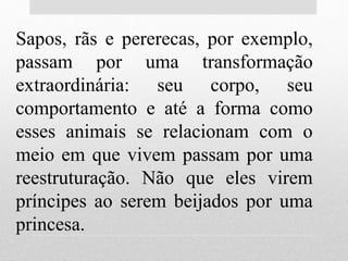 Sapos, rãs e pererecas, por exemplo,
passam por uma transformação
extraordinária: seu corpo, seu
comportamento e até a forma como
esses animais se relacionam com o
meio em que vivem passam por uma
reestruturação. Não que eles virem
príncipes ao serem beijados por uma
princesa.
 