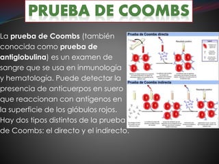 La prueba de Coombs (también
conocida como prueba de
antiglobulina) es un examen de
sangre que se usa en inmunología
y hematología. Puede detectar la
presencia de anticuerpos en suero
que reaccionan con antígenos en
la superficie de los glóbulos rojos.
Hay dos tipos distintos de la prueba
de Coombs: el directo y el indirecto.
 