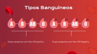 Tipos Sanguíneos
Grupo sanguíneo com fator Rh positivo. Grupo sanguíneo com fator Rh Negativo.
 