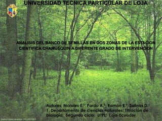 UNIVERSIDAD TECNICA PARTICULAR DE LOJA




ANALISIS DEL BANCO DE SEMILLAS EN DOS ZONAS DE LA ESTACION
 CIENTIFICA CHAMUSQUIN A DIFERENTE GRADO DE INTERVENCION




            Autores: Morales E.1; Pardo A.1; Ramón E.1; Salinas D.1
            1. Departamento de ciencias naturales; Titilación de
            biología; Segundo ciclo; UTPL; Loja-Ecuador
 