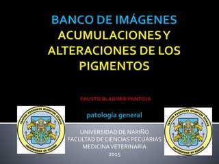 UNIVERSIDAD DE NARIÑO
FACULTAD DE CIENCIAS PECUARIAS
MEDICINAVETERINARIA
2015
 