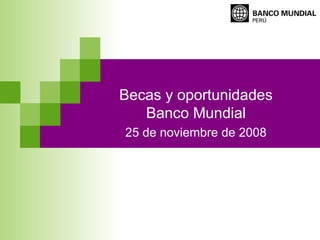 Becas y oportunidades
Banco Mundial
25 de noviembre de 2008
 