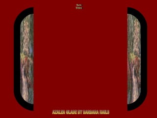 AZALEA GLADE BY BARBARA HAILS Nura Slides 