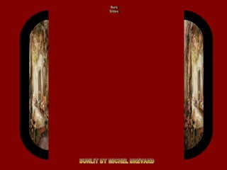 SUNLIT BY MICHEL BREVARD Nura Slides 