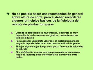 No es posible hacer una recomendación general
sobre altura de corte, pero sí deben recordarse
algunos principios básicos de la fisiología del
rebrote de plantas forrajeras

a.   Cuando la defoliación es muy intensa, el rebrote es muy
     dependiente de las reservas orgánicas, presentes en los
     tallos residuales
b.   Para asegurar un rebrote vigoroso, el material remanente
     luego de la poda debe tener una buena cantidad de yemas
c.   El dejar algo de hojas luego de la poda, favorece la velocidad
     de rebrote
d.   Si la defoliación es muy intensa (poco material remanente
     luego de la poda), debe incrementarse el intervalo entre
     podas
 