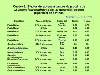 Cuadro 3. Efectos del acceso a bancos de proteína de
       Leucaena leucocephala sobre las ganancias de peso
                     (kg/an/día) en bovinos.
                                                       Fuente: Jones, R.M. (1994)
       Dieta Base       Acceso al Banco     Época del       Control      + Leuc
                                               Año
Pasto Nativo           25% área en Leuc.    Prim, Ver         0.59        0.70
Pasto Nativo                4 h/día            Inv            0.22        0.39
Pasto Nativo           25% área en Leuc.    Otoño, Inv       -0.15        0.16

Pasto Nativo            6% área en Leuc.    Prim, Ver,        0.23        0.51
                                              Otoño
Pasto Nativo           25% área en Leuc.     Todo el          0.25        0.35
                                               Año
Cenchrus ciliaris      10-20 h por semana      Fría           0.6          0.6

Brachiaria decumbens        4 h/día           Seca            0.49        0.64

Hyparrhenia rufa       10% área en Leuc.      Seca            0.27        0.35
Cynodon                     4 h/día           Seca            0.29        0.41
plectostachyus
Dicanthium caricosum   20% area en Leuc.       Año            0.21        0.50

Pennisetum                  3 h/día         Otoño, Inv        0.07        0.34
clandestinum
Panicum maximum        30% area en Leuc.     Lluvias          0.52        0.67
Panicum maximum        30% area en Leuc.      Seca            0.18        0.37
 