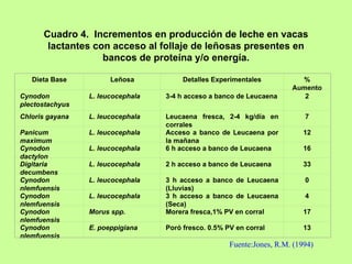 Cuadro 4. Incrementos en producción de leche en vacas
       lactantes con acceso al follaje de leñosas presentes en
                   bancos de proteína y/o energía.

   Dieta Base          Leñosa           Detalles Experimentales           %
                                                                        Aumento
Cynodon          L. leucocephala   3-4 h acceso a banco de Leucaena        2
plectostachyus
Chloris gayana   L. leucocephala   Leucaena fresca, 2-4 kg/día en           7
                                   corrales
Panicum          L. leucocephala   Acceso a banco de Leucaena por           12
maximum                            la mañana
Cynodon          L. leucocephala   6 h acceso a banco de Leucaena           16
dactylon
Digitaria        L. leucocephala   2 h acceso a banco de Leucaena           33
decumbens
Cynodon          L. leucocephala   3 h acceso a banco de Leucaena           0
nlemfuensis                        (Lluvias)
Cynodon          L. leucocephala   3 h acceso a banco de Leucaena           4
nlemfuensis                        (Seca)
Cynodon          Morus spp.        Morera fresca,1% PV en corral            17
nlemfuensis
Cynodon          E. poeppigiana    Poró fresco. 0.5% PV en corral           13
nlemfuensis
                                                      Fuente:Jones, R.M. (1994)
 