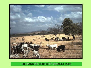 ENTRADA DE TEUSTEPE (BOACO) 2003
 