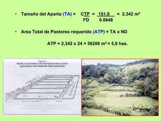 •   Tamaño del Aparto (TA) =   CTP = 151.8  = 2,342 m2
                                FD   0.0648

•   Area Total de Pastoreo requerido (ATP) = TA x ND

               ATP = 2,342 x 24 = 56208 m2 = 5,6 has.
 