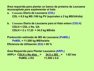 Área requerida para plantar un banco de proteína de Leucaena
leucocephala para suplementar el hato
a. Consumo Diaria de Leucaena (CDL)
    CDL = 0.5 kg MS /100 kg PV (equivalen a 2 kg MS/UA/día)

b.   Consumo Diaria de Leucaena para el Hato entero (CDLH)
     CDLH = CDL x No. UA
     CDLH = 2 x 17,25 = 34.5 kg MS/dia

Producción estimada de MS de Leucaena (PeMSL)
    PeMSL = 11,500 kg MS/ha/año
Eficiencia de Utilización (EU) = 60 %

Área Requerida para Plantar Leucaena (ARPL)
ARPL= CDLH x No dias =        34.5 x 365 = 1.82 has
        PeMSL x EU           11,500 x 0.6
 