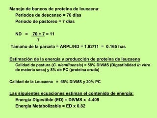 Manejo de bancos de proteína de leucaena:
  Periodos de descanso = 70 días
  Periodo de pastoreo = 7 días

  ND =   70 + 7 = 11
           7
Tamaño de la parcela = ARPL/ND = 1.82/11 = 0.165 has

Estimación de la energía y producción de proteína de leucaena
  Calidad de pastura (C. nlemfluensis) = 58% DIVMS (Digestiblidad in vitro
  de materia seca) y 8% de PC (proteina cruda)


Calidad de la Leucaena = 65% DIVMS y 20% PC


Las siguientes ecuaciones estiman el contenido de energía:
  Energía Digestible (ED) = DIVMS x 4.409
  Energía Metabolizable = ED x 0.82
 