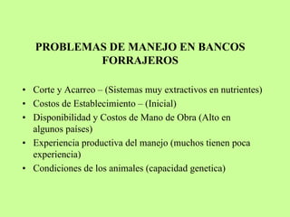 PROBLEMAS DE MANEJO EN BANCOS
           FORRAJEROS

• Corte y Acarreo – (Sistemas muy extractivos en nutrientes)
• Costos de Establecimiento – (Inicial)
• Disponibilidad y Costos de Mano de Obra (Alto en
  algunos países)
• Experiencia productiva del manejo (muchos tienen poca
  experiencia)
• Condiciones de los animales (capacidad genetica)
 