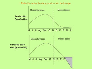 Relación entre lluvia y producción de forraje

                      Meses lluviosos      Meses secos


    Producción
    Forraje (t/ha)




                     M J Jl Ag Set O N D E F M A


                      Meses lluviosos      Meses secos

Ganancia peso
vivo (gramos/día)




                     M J Jl Ag Set O N D E F M A
 
