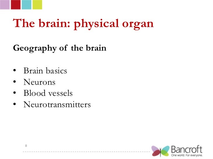 effects of exercise on the brain essay Avoiding a sedentary lifestyle can have dramatic effects on your brain health by maintaining the integrity of your white matter throughout a lifespan hippocrates was right when he said. effects of exercise on the brain essay Avoiding a sedentary lifestyle can have dramatic effects on your brain health by maintaining the integrity of your white matter throughout a lifespan hippocrates was right when he said.