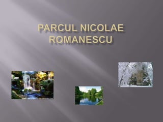ParculNicolaeRomanescu 