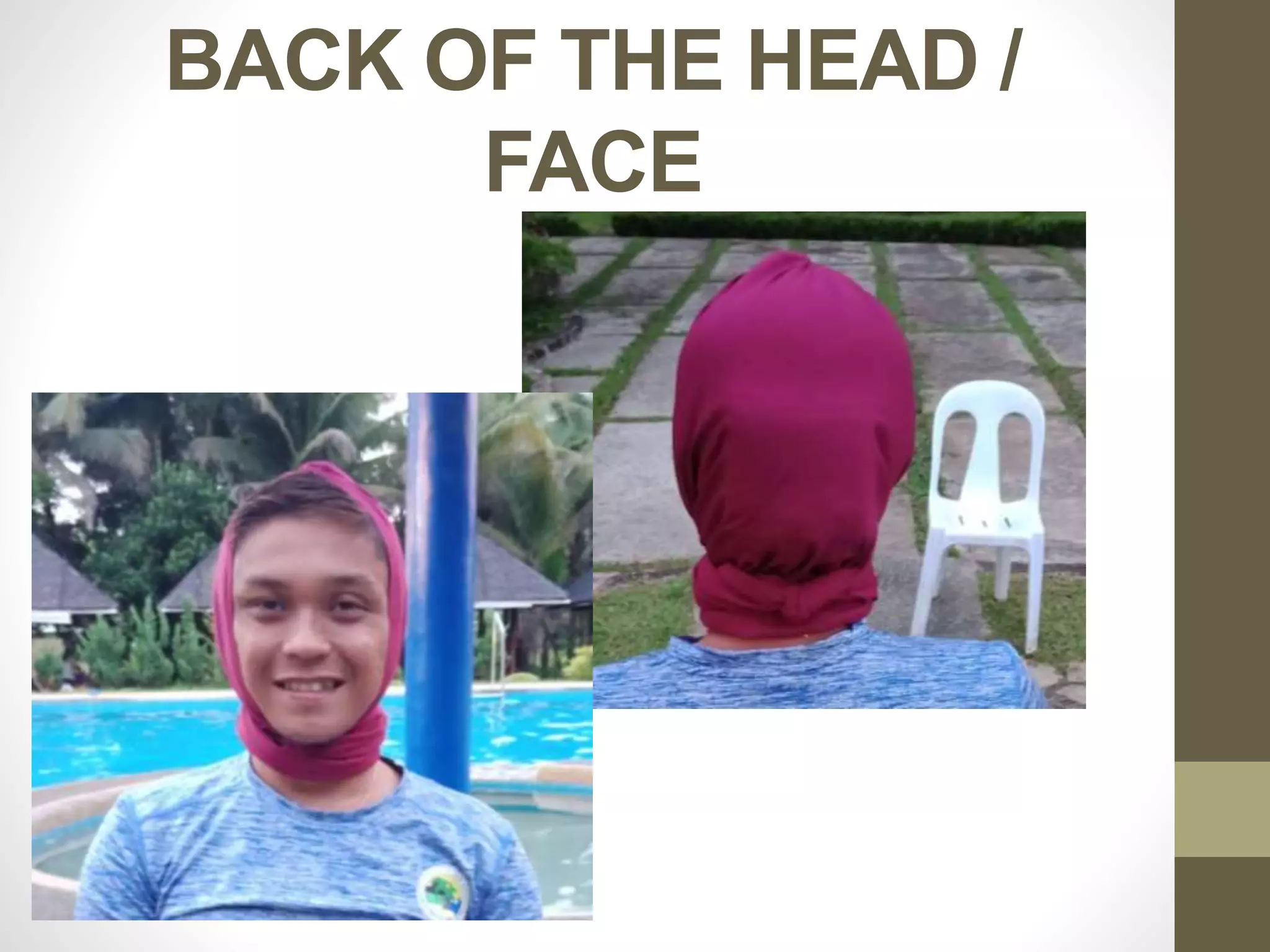 BACK OF THE HEAD /
FACE