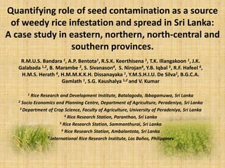 Quantifying role of seed contamination as a source
of weedy rice infestation and spread in Sri Lanka:
A case study in eastern, northern, north-central and
southern provinces.
R.M.U.S. Bandara 1, A.P. Bentota1, R.S.K. Keerthisena 1, T.K. Illangakoon 1, J.K.
Galabada 1,2, B. Marambe 3, S. Sivanason4, S. Nirojan4, Y.B. Iqbal 5, R.F. Hafeel 6,
H.M.S. Herath 6, H.M.M.K.K.H. Dissanayaka 1, Y.M.S.H.I.U. De Silva1, B.G.C.A.
Gamlath 1, S.G. Kaushalya 1,2 and V. Kumar
1 Rice Research and Development Institute, Batalagoda, Ibbagamuwa, Sri Lanka
2 Socio Economics and Planning Centre, Department of Agriculture, Peradeniya, Sri Lanka
3 Department of Crop Science, Faculty of Agriculture, University of Peradeniya, Sri Lanka
4 Rice Research Station, Paranthan, Sri Lanka
5 Rice Research Station, Sammanthurai, Sri Lanka
6 Rice Research Station, Ambalantota, Sri Lanka
7 International Rice Research Institute, Los Baños, Philippines
1
 