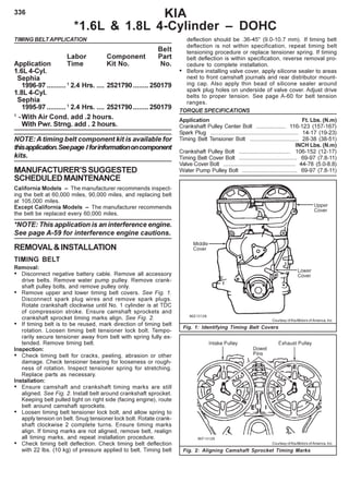 336 KIA
*1.6L & 1.8L 4-Cylinder – DOHC
TIMING BELTAPPLICATION
Belt
Labor Component Part
Application Time Kit No. No.
1.6L 4-Cyl.
Sephia
1996-97 ..........1
2.4 Hrs. .... 2521790........ 250179
1.8L 4-Cyl.
Sephia
1995-97 ..........1
2.4 Hrs. .... 2521790........ 250179
1
-With Air Cond. add .2 hours.
With Pwr. Strng. add . 2 hours.
NOTE: A timing belt component kit is available for
thisapplication.Seepage Iforinformationoncomponent
kits.
MANUFACTURER’SSUGGESTED
SCHEDULEDMAINTENANCE
California Models – The manufacturer recommends inspect-
ing the belt at 60,000 miles, 90,000 miles, and replacing belt
at 105,000 miles.
Except California Models – The manufacturer recommends
the belt be replaced every 60,000 miles.
*NOTE: This application is an interference engine.
See page A-59 for interference engine cautions.
REMOVAL&INSTALLATION
TIMING BELT
Removal:
• Disconnect negative battery cable. Remove all accessory
drive belts. Remove water pump pulley. Remove crank-
shaft pulley bolts, and remove pulley only.
• Remove upper and lower timing belt covers. See Fig. 1.
Disconnect spark plug wires and remove spark plugs.
Rotate crankshaft clockwise until No. 1 cylinder is at TDC
of compression stroke. Ensure camshaft sprockets and
crankshaft sprocket timing marks align. See Fig. 2.
• If timing belt is to be reused, mark direction of timing belt
rotation. Loosen timing belt tensioner lock bolt. Tempo-
rarily secure tensioner away from belt with spring fully ex-
tended. Remove timing belt.
Inspection:
• Check timing belt for cracks, peeling, abrasion or other
damage. Check tensioner bearing for looseness or rough-
ness of rotation. Inspect tensioner spring for stretching.
Replace parts as necessary.
Installation:
• Ensure camshaft and crankshaft timing marks are still
aligned. See Fig. 2. Install belt around crankshaft sprocket.
Keeping belt pulled tight on right side (facing engine), route
belt around camshaft sprockets.
• Loosen timing belt tensioner lock bolt, and allow spring to
apply tension on belt. Snug tensioner lock bolt. Rotate crank-
shaft clockwise 2 complete turns. Ensure timing marks
align. If timing marks are not aligned, remove belt, realign
all timing marks, and repeat installation procedure.
• Check timing belt deflection. Check timing belt deflection
with 22 lbs. (10 kg) of pressure applied to belt. Timing belt
deflection should be .36-45" (9.0-10.7 mm). If timing belt
deflection is not within specification, repeat timing belt
tensioning procedure or replace tensioner spring. If timing
belt deflection is within specification, reverse removal pro-
cedure to complete installation.
• Before installing valve cover, apply silicone sealer to areas
next to front camshaft journals and rear distributor mount-
ing cap. Also apply thin bead of silicone sealer around
spark plug holes on underside of valve cover. Adjust drive
belts to proper tension. See page A-60 for belt tension
ranges.
TORQUE SPECIFICATIONS
Application Ft. Lbs. (N.m)
Crankshaft Pulley Center Bolt ................... 116-123 (157-167)
Spark Plug ........................................................ 14-17 (19-23)
Timing Belt Tensioner Bolt ............................... 28-38 (38-51)
INCH Lbs. (N.m)
Crankshaft Pulley Bolt ................................. 106-152 (12-17)
Timing Belt Cover Bolt ..................................... 69-97 (7.8-11)
Valve Cover Bolt .............................................. 44-78 (5.0-8.8)
Water Pump Pulley Bolt ................................... 69-97 (7.8-11)
Fig. 1: Identifying Timing Belt Covers
Courtesy of Kia Motors of America, Inc.
Fig. 2: Aligning Camshaft Sprocket Timing Marks
Courtesy of Kia Motors of America, Inc.
 