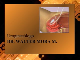 DR. WALTER MORA M. ,[object Object]