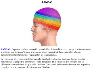 BANDAS
BANDAS: Expresan el cómo – colorido o modalidad del conflicto en el tiempo. La forma en que
se alinean nuestros conflictos y se expresan como esa parte de la personalidad a la que
denominamos temperamento. Representan las interneuronas.
Se representa en el movimiento horizontal a nivel del cerebro que establece franjas o cortes
horizontales y que podría compararse en la dimensión de la sustancia gris cortical, con las
diferentes capas celulares en que se ha dividido. Cada banda más que una línea es una superficie
compleja de procesamiento de información. (Ancho)
 