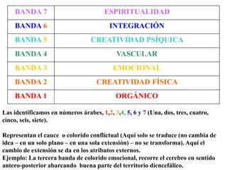 BANDA 7 ESPIRITUALIDAD
BANDA 6 INTEGRACIÓN
BANDA 5 CREATIVIDAD PSÍQUICA
BANDA 4 VASCULAR
BANDA 3 EMOCIONAL
BANDA 2 CREATIVIDAD FÍSICA
BANDA 1 ORGÁNICO
Las identificamos en números árabes, 1,2, 3,4, 5, 6 y 7 (Una, dos, tres, cuatro,
cinco, seis, siete).
Representan el cauce o colorido conflictual (Aquí solo se traduce (no cambia de
idea – en un solo plano – en una sola extensión) – no se transforma). Aquí el
cambio de extensión se da en los atributos externos.
Ejemplo: La tercera banda de colorido emocional, recorre el cerebro en sentido
antero-posterior abarcando buena parte del territorio diencefálico.
 