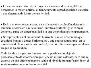  La memoria ancestral de la filogénesis nos une al pasado, del que
heredamos la materia prima, el temperamento o predisposición diatésica
a una determinada forma de reactividad.
 Es lo que se representa como cauce de nuestra evolución, determina
también la forma en que se alinean nuestros conflictos y se expresa
como esa parte de la personalidad a la que denominamos temperamento.
 Se representa en el movimiento horizontal a nivel del cerebro que
establece franjas o cortes horizontales y que podría compararse en la
dimensión de la sustancia gris cortical, con las diferentes capas celulares
en que se ha dividido.
Cada banda más que una línea es una superficie compleja de
procesamiento de información que tiene un mismo colorido, pero que se
expresa de una diferente manera según el nivel de su manifestación en el
sentido rostrocaudal o fronto occipital
 