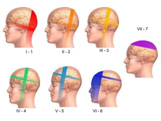 I - 1 II - 2 III - 3
IV - 4 V - 5 VI - 6
VII - 7
 