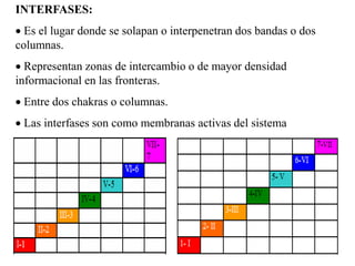INTERFASES:
 Es el lugar donde se solapan o interpenetran dos bandas o dos
columnas.
 Representan zonas de intercambio o de mayor densidad
informacional en las fronteras.
 Entre dos chakras o columnas.
 Las interfases son como membranas activas del sistema
 