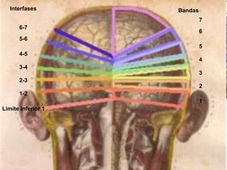 Interfases Bandas
7
6
5
4
3
2
1
6-7
5-6
4-5
3-4
2-3
1-2
Limite inferior 1
 