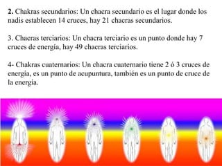 2. Chakras secundarios: Un chacra secundario es el lugar donde los
nadis establecen 14 cruces, hay 21 chacras secundarios.
3. Chacras terciarios: Un chacra terciario es un punto donde hay 7
cruces de energía, hay 49 chacras terciarios.
4- Chakras cuaternarios: Un chacra cuaternario tiene 2 ó 3 cruces de
energía, es un punto de acupuntura, también es un punto de cruce de
la energía.
 