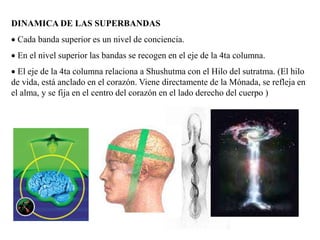 DINAMICA DE LAS SUPERBANDAS
 Cada banda superior es un nivel de conciencia.
 En el nivel superior las bandas se recogen en el eje de la 4ta columna.
 El eje de la 4ta columna relaciona a Shushutma con el Hilo del sutratma. (El hilo
de vida, está anclado en el corazón. Viene directamente de la Mónada, se refleja en
el alma, y se fija en el centro del corazón en el lado derecho del cuerpo )
 