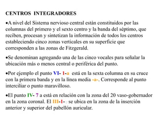 CENTROS INTEGRADORES
A nivel del Sistema nervioso central están constituidos por las
columnas del primero y el sexto centro y la banda del séptimo, que
reciben, procesan y sintetizan la información de todos los centros
estableciendo cinco zonas verticales en su superficie que
corresponden a las zonas de Fitzgerald.
Se denominan agregando una de las cinco vocales para señalar la
ubicación más o menos central o periférica del punto.
Por ejemplo el punto VI- 1-a está en la sexta columna en su cruce
con la primera banda y en la línea media -a-. Corresponde al punto
interciliar o punto maravilloso.
El punto IV- 7 a está en relación con la zona del 20 vaso-gobernador
en la zona coronal. El III-1-e se ubica en la zona de la inserción
anterior y superior del pabellón auricular.
 