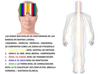 LAS ZONAS SON NIVELES DE PROFUNDIDAD DE LAS
BANDAS EN SENTIDO LATERAL
( IZQUIERDA – DERECHA . DERECHA – IZQUIERDA).
SE COMPORTAN COMO LAS ZONAS DE FITZGERALD
1. ZONA A : EL ETER. NIVEL CENTRAL DE SINTESIS.
2. ZONA E: EL AIRE. NIVEL MENTAL. COMPRENSIÓN.
3. ZONA I: EL FUEGO. NIVEL DE TRANSMUTACIÓN.
4. ZONA O: EL AGUA NIVEL DE ADAPTACION.
5. ZONA U: LA TIERRA NIVEL DE CONSOLIDACION.
NOTA: A Y E CUALIFICAN LOS CONFLICTOS. (MEDULA
CEREBRAL – SUSTANCIA BLANCA).
 