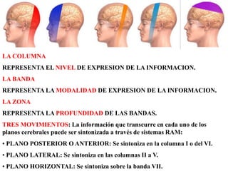 LA COLUMNA
REPRESENTA EL NIVEL DE EXPRESION DE LA INFORMACION.
LA BANDA
REPRESENTA LA MODALIDAD DE EXPRESION DE LA INFORMACION.
LA ZONA
REPRESENTA LA PROFUNDIDAD DE LAS BANDAS.
TRES MOVIMIENTOS: La información que transcurre en cada uno de los
planos cerebrales puede ser sintonizada a través de sistemas RAM:
• PLANO POSTERIOR O ANTERIOR: Se sintoniza en la columna I o del VI.
• PLANO LATERAL: Se sintoniza en las columnas II a V.
• PLANO HORIZONTAL: Se sintoniza sobre la banda VII.
 