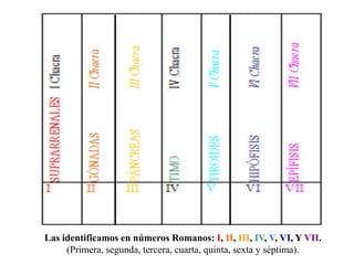 Las identificamos en números Romanos: I, II, III, IV, V, VI, Y VII.
(Primera, segunda, tercera, cuarta, quinta, sexta y séptima).
 