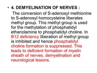 • 4. DEMYELINATION OF NERVES :
The conversion of S-adenosyl methionine
to S-adenosyl homocysteine liberates
methyl group. This methyl group is used
for the methylation of phosphatidyl
ethanolamine to phosphatidyl choline. In
B12 deficiency liberation of methyl group
is inhibited and hence phosphatidyl
choline formation is suppressed. This
leads to deficient formation of myelin
sheath of nerves, demyelination and
neurological lesions.
 